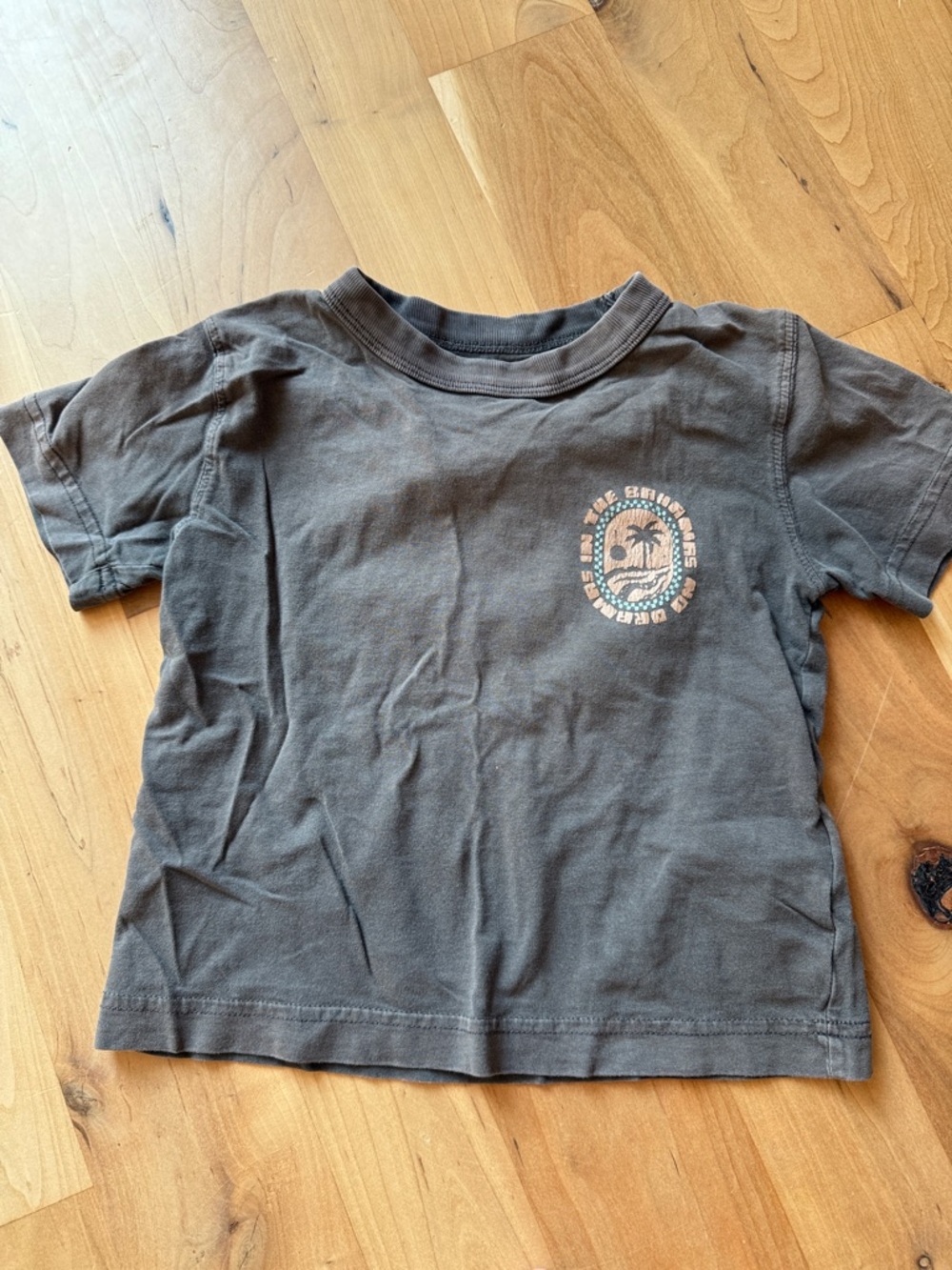 Cotton On Kids Charcoal Graphic Short Sleeve Tee